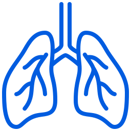 https://dev.manualventilationacademy.org/wp-content/uploads/2024/10/lungs.png
